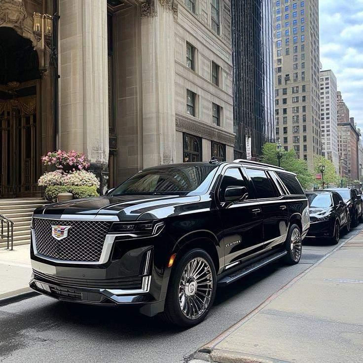 Business Van / SUV